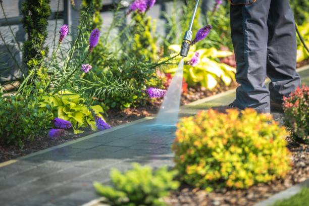 Best Patio and Deck Pressure Washing  in Williamsburg, PA