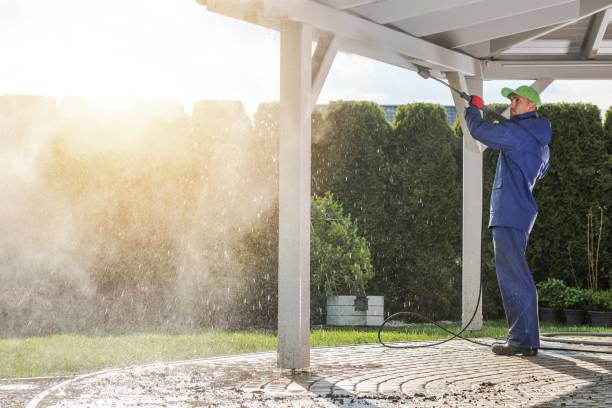 Best Roof Washing  in Williamsburg, PA