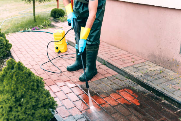 Best Gutter Cleaning  in Williamsburg, PA